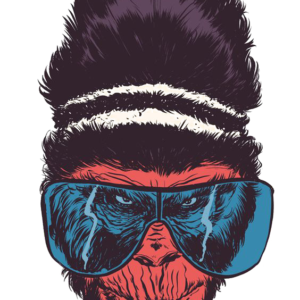 Brute Combo Services